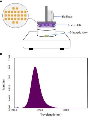 Study on the inactivation and reactivation mechanism of pathogenic bacteria in aquaculture by UVC-LED